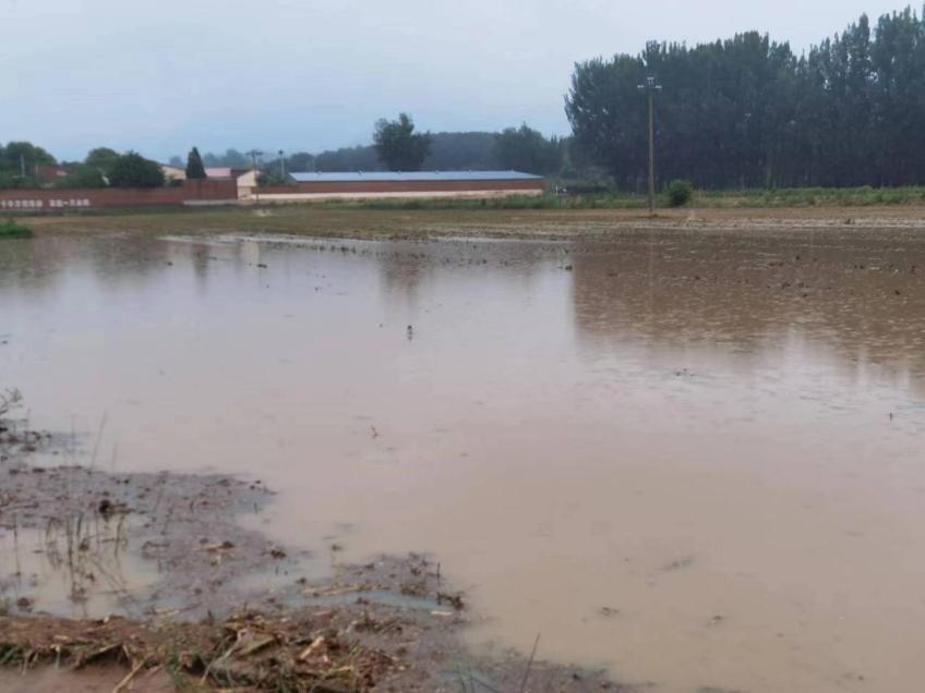 強(qiáng)降雨過(guò)后 大豆管理貴在及時(shí)