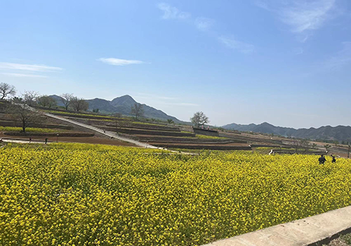 城鄉(xiāng)互融、月月有景——第十三屆北京農(nóng)田觀光季開季