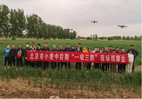 北京市小麥中后期“一噴三防”現(xiàn)場(chǎng)觀(guān)摩會(huì)在順義區(qū)召開(kāi)